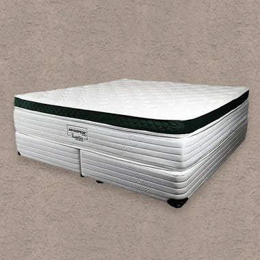 Slumberzone Physiopedic Plush Mattress & Base